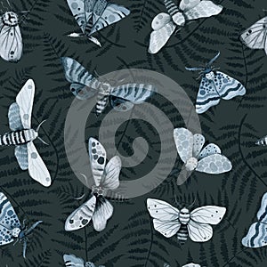 Blue night butterfly, indigo butterfly seamless pattern, wild insects, watercolor vintage illustration